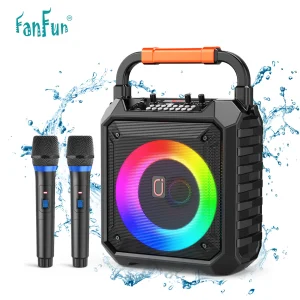 Karaoke Machine with 2 Microphone